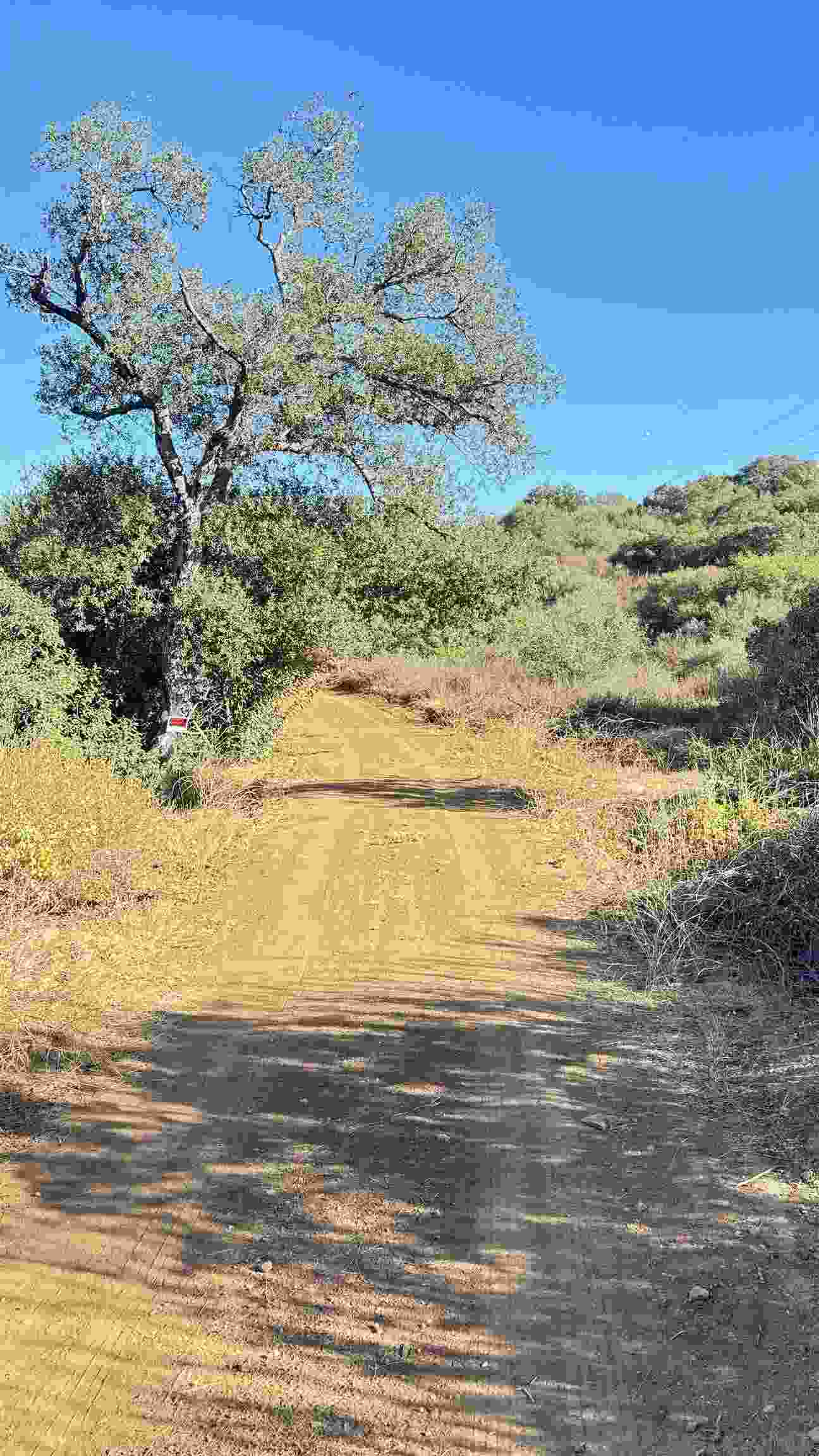 00 Bee Canyon Rd. # 1, Jamul Ca 91935 | Unimproved Land 0