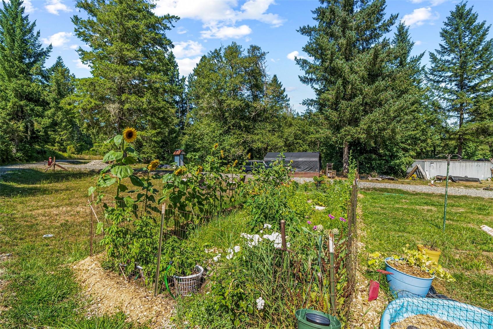 265 Dunivan Road , Vader, WA 98593 | Garden