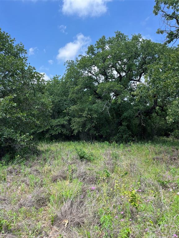 TBD Lot 35 , Poolville, Parker County, Texas 76487, USA | Residential 1