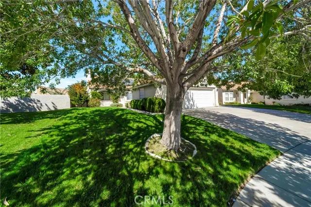 3739 Agave Circle, Lancaster Ca 93536 | Detached 3