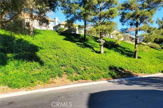 110 Dornoch Way, Trabuco Canyon Ca 92679 | Detached 35