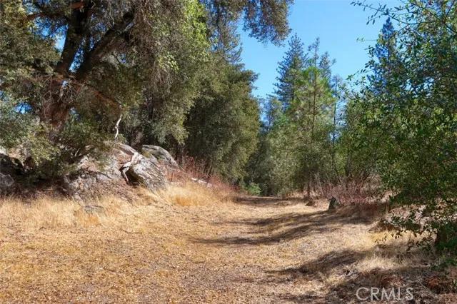 45893 Sutton Drive, Oakhurst Ca 93644 | Detached 62