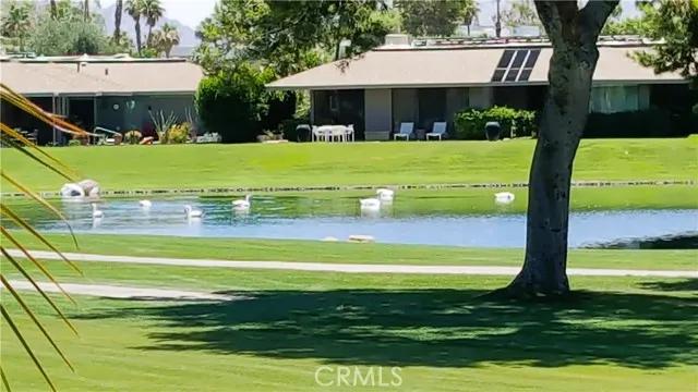 6 Whittier Court, Rancho Mirage Ca 92270 | All Other Attached 52