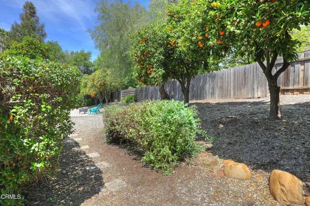 974 El Centro Street, Ojai Ca 93023 | Detached 29