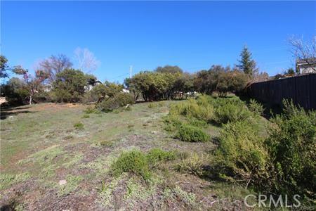 5344 Olympia, Kelseyville CA 95451 | Unimproved Land 2