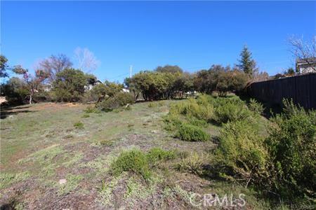 5344 Olympia, Kelseyville CA 95451 | Unimproved Land 3