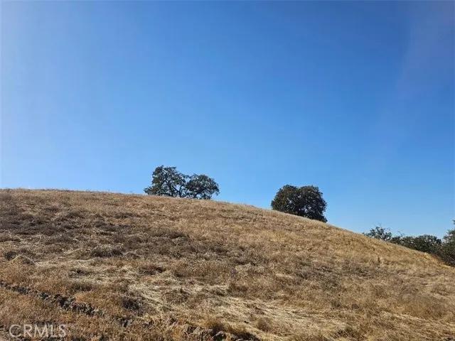 2495 Maverick, Paso Robles Ca 93446 | Unimproved Land 2