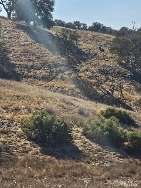 2495 Maverick, Paso Robles Ca 93446 | Unimproved Land 6