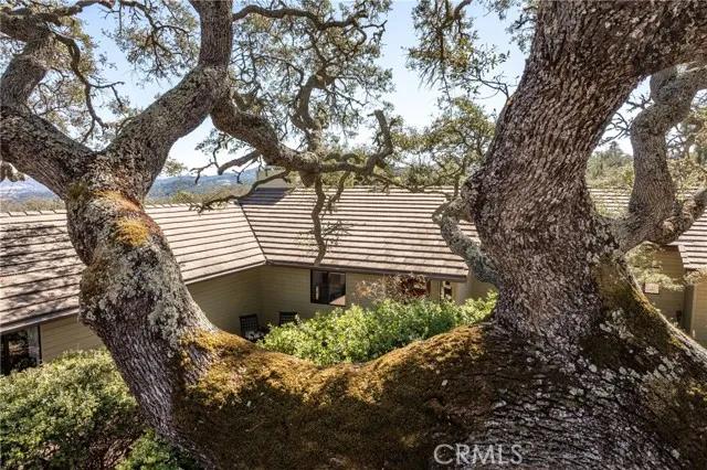 10675 Realito Avenue, Atascadero Ca 93422 | Detached 38