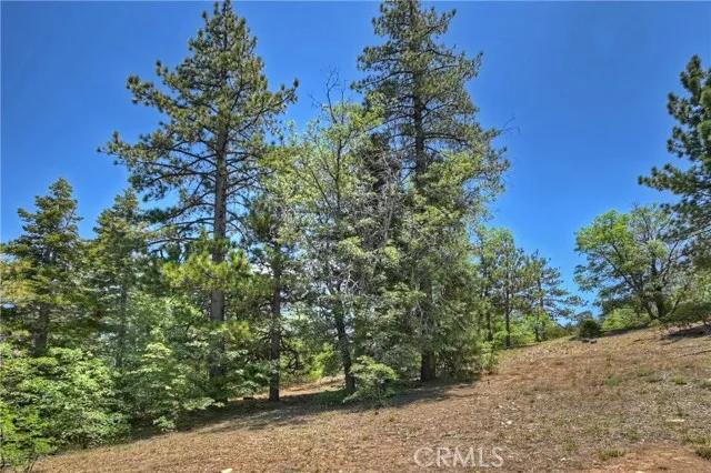 50 Metcalf Creek Trail, Big Bear Lake Ca 92315 | Detached 27