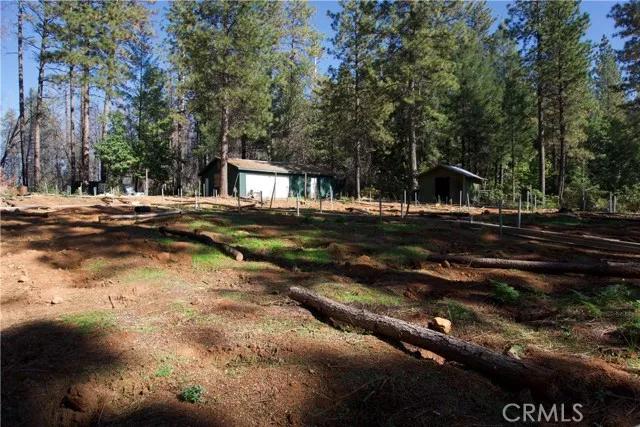 762 Bloomer Hill Road, Berry Creek Ca 95916 | Detached 10