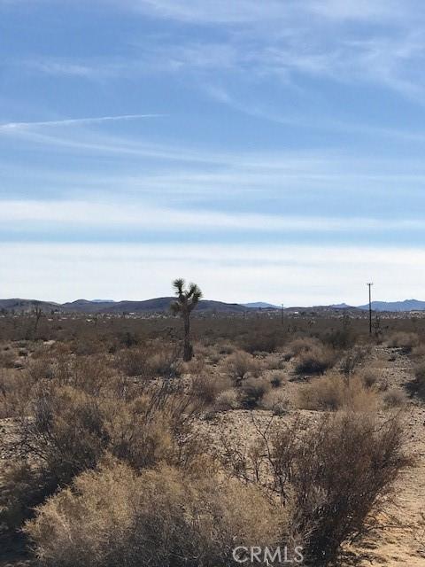 0 Belfield, Landers CA 92285 | Unimproved Land 2