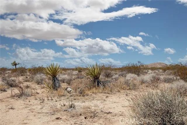 3000 Celeste, Joshua Tree Ca 92252 | Unimproved Land 2