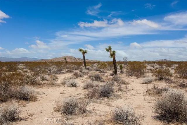 3000 Celeste, Joshua Tree Ca 92252 | Unimproved Land 1