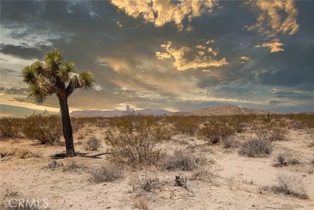 3000 Celeste, Joshua Tree Ca 92252 | Unimproved Land 5