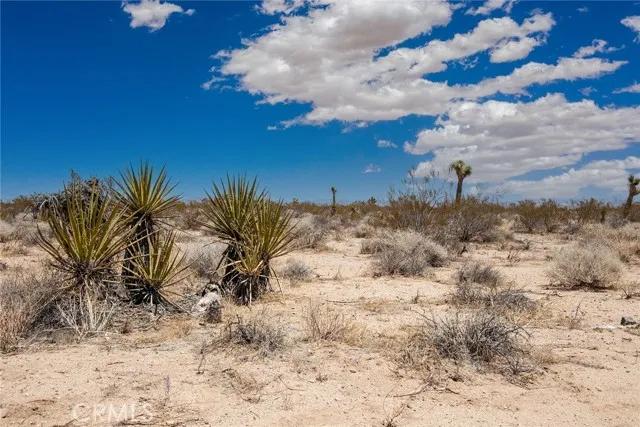 3000 Celeste, Joshua Tree Ca 92252 | Unimproved Land 4