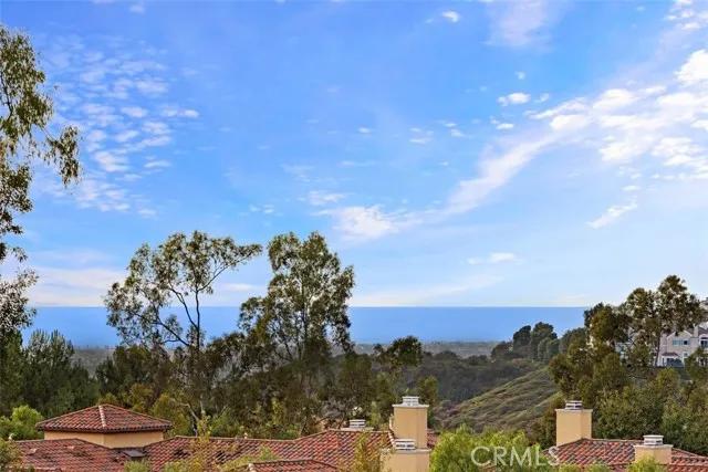 10 Teramo Court, Newport Coast Ca 92657 | All Other Attached 1