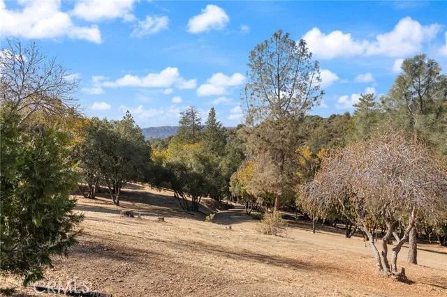 42617 Old Yosemite Road, Oakhurst Ca 93644 | Detached 37