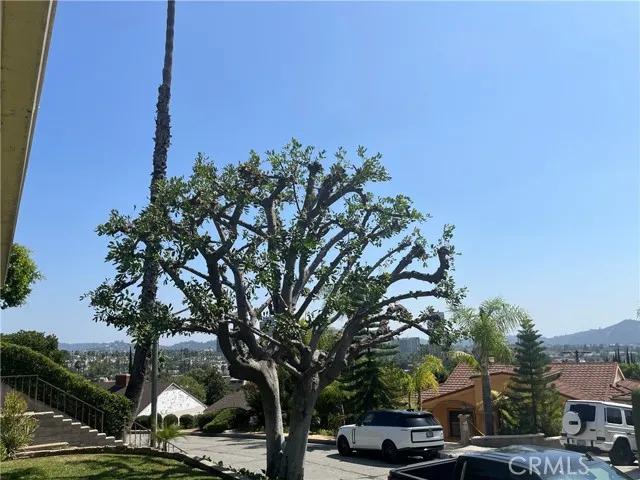 151 Cumberland Road, Glendale Ca 91202 | Detached 47