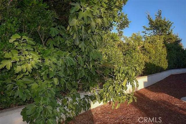 31530 Cala Carrasco, Temecula Ca 92592 | Detached 30