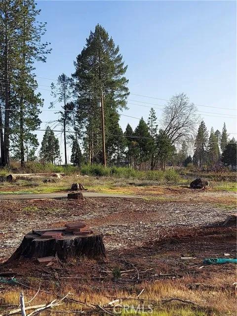 14060 N Pineland, Magalia CA 95954 | Unimproved Land 4