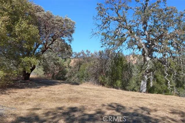 0 Lookout Mountain, Coarsegold Ca 93614 | Unimproved Land 15