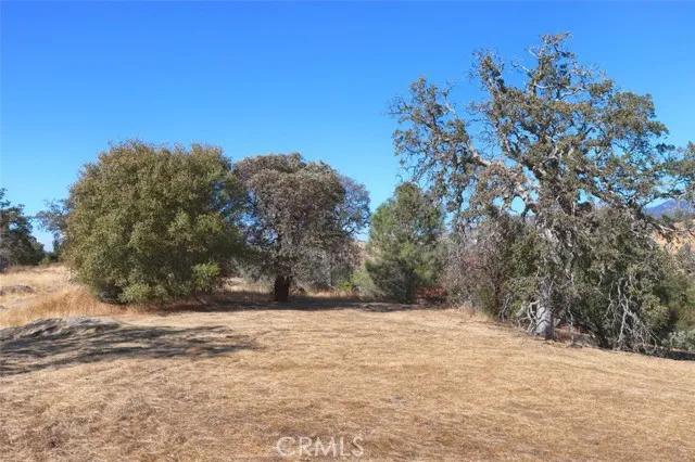 0 Lookout Mountain, Coarsegold Ca 93614 | Unimproved Land 12