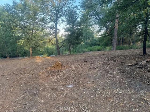 8633 Fox, Cobb Ca 95426 | Unimproved Land 4