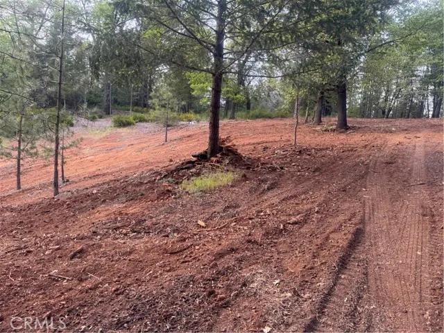 8633 Fox, Cobb Ca 95426 | Unimproved Land 5