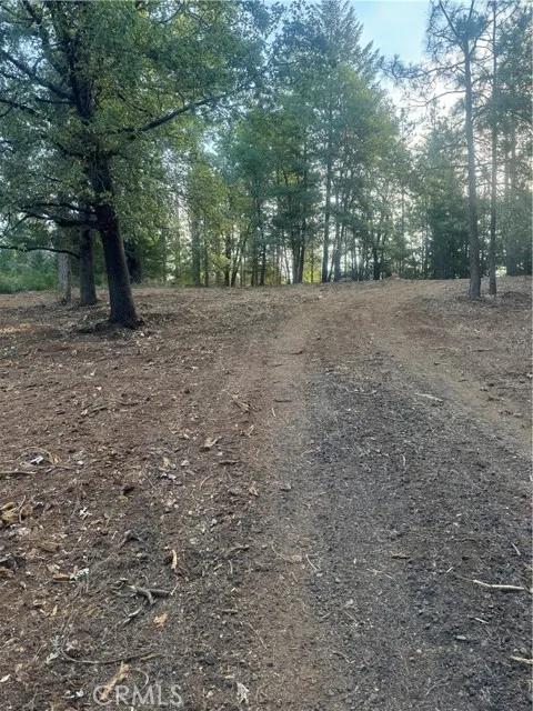 8633 Fox, Cobb Ca 95426 | Unimproved Land 2