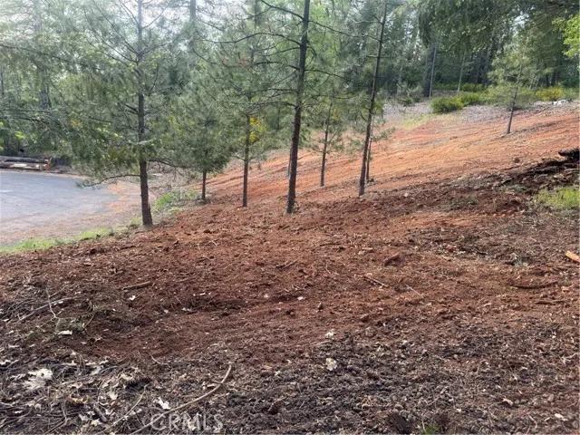 8633 Fox, Cobb Ca 95426 | Unimproved Land 1