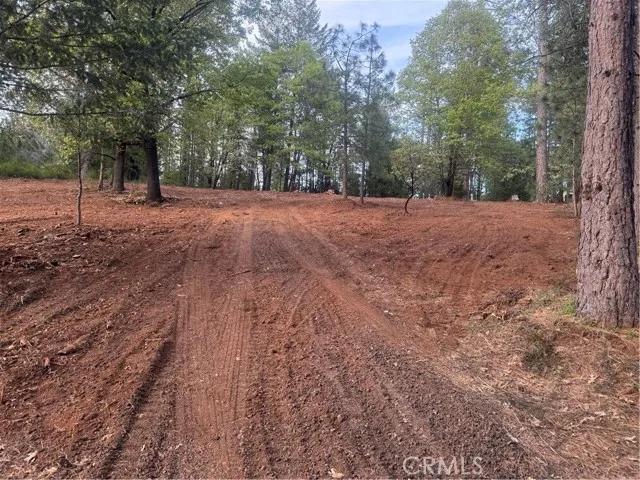 8633 Fox, Cobb Ca 95426 | Unimproved Land 3