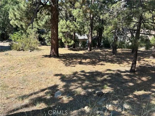 0 Timberline, Wrightwood Ca 92397 | Unimproved Land 1