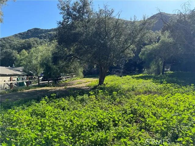 28622 Modjeska Canyon, Silverado CA 92676 | Unimproved Land 5