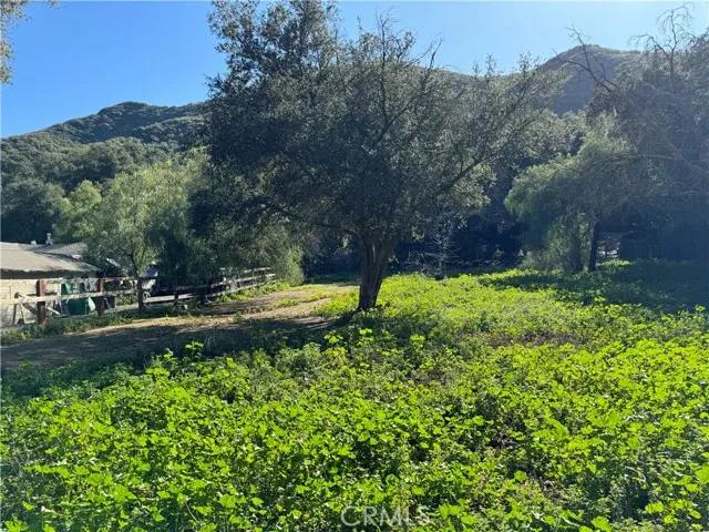 28622 Modjeska Canyon, Silverado CA 92676 | Unimproved Land 0