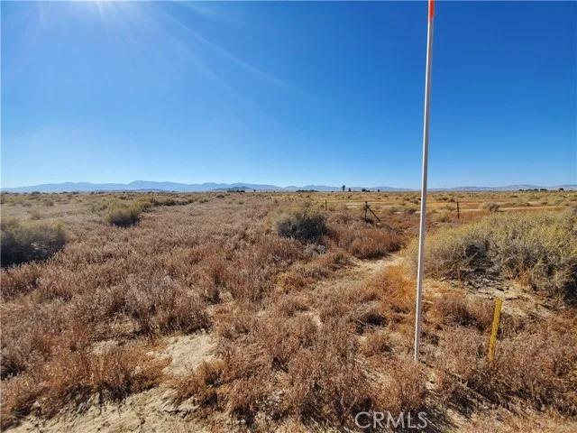 2 132nd, Lancaster Ca 93535 | Unimproved Land 2