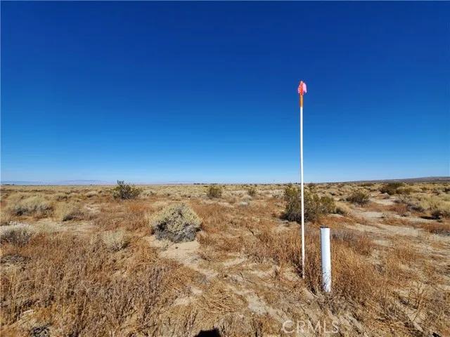 2 132nd, Lancaster Ca 93535 | Unimproved Land 4