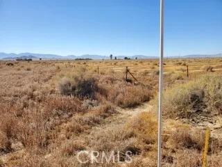 2 132nd, Lancaster Ca 93535 | Unimproved Land 1