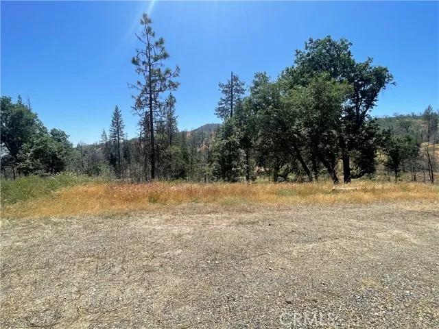 6264 Jerseydale, Mariposa Ca 95338 | Unimproved Land 4