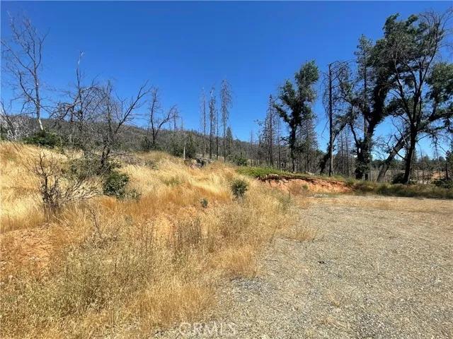 6264 Jerseydale, Mariposa Ca 95338 | Unimproved Land 6