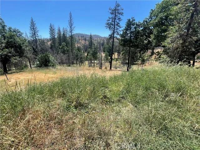 6264 Jerseydale, Mariposa Ca 95338 | Unimproved Land 2