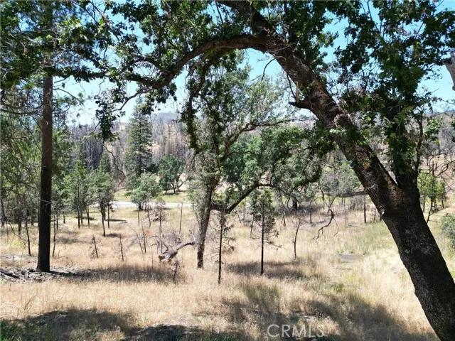 6264 Jerseydale, Mariposa Ca 95338 | Unimproved Land 7