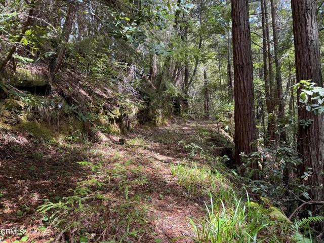 23501 Branscomb Road, Westport Ca 95488 | Unimproved Land 8