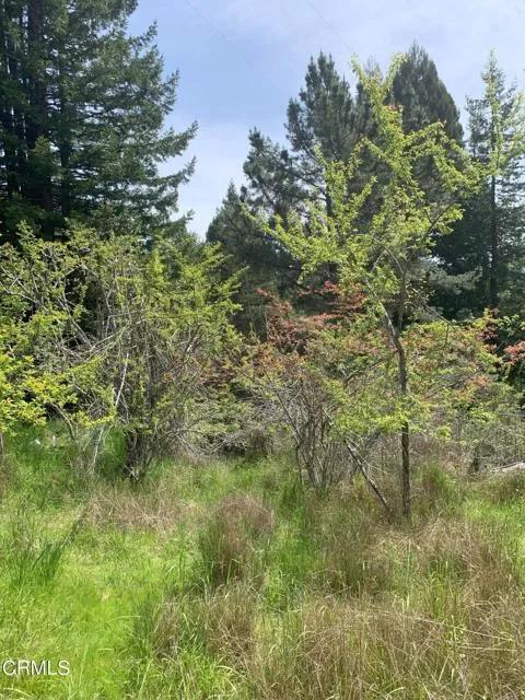 23501 Branscomb Road, Westport Ca 95488 | Unimproved Land 24