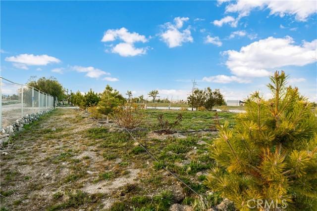 9455 Fort Tejon Rd, Littlerock CA 93543 | Unimproved Land 32