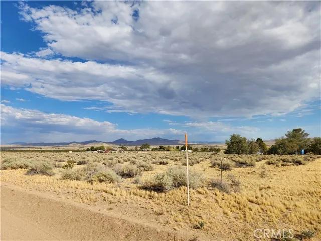 17805 Riverview, Helendale Ca 92342 | Unimproved Land 2