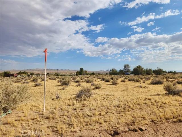 17805 Riverview, Helendale Ca 92342 | Unimproved Land 4