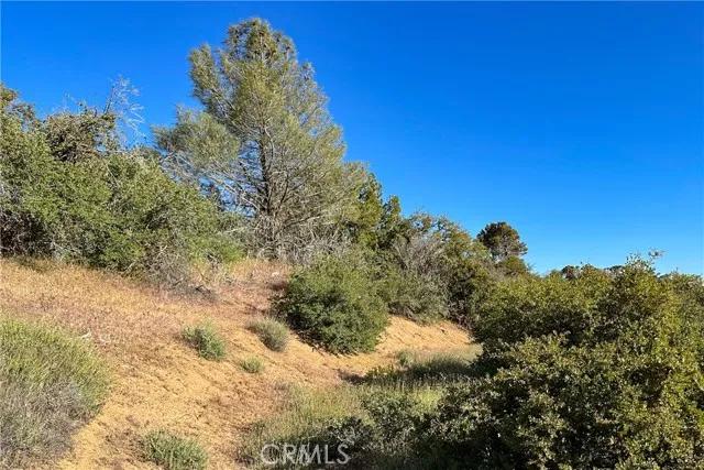 1 Bronsbury, Tehachapi Ca 93561 | Unimproved Land 9