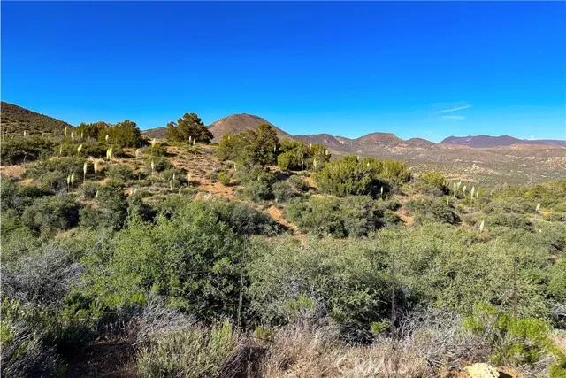 1 Bronsbury, Tehachapi Ca 93561 | Unimproved Land 10