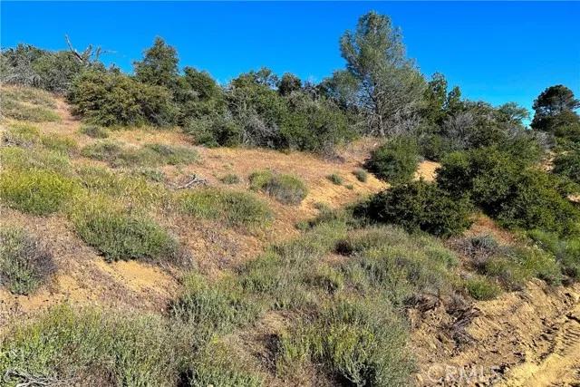 1 Bronsbury, Tehachapi Ca 93561 | Unimproved Land 7